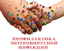 ЭНТЕРОВИРУСНАЯ ИНФЕКЦИЯ ЭНТЕРОВИРУСНАЯ ИНФЕКЦИЯ.