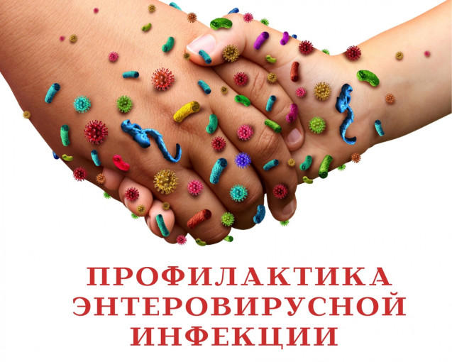 ЭНТЕРОВИРУСНАЯ ИНФЕКЦИЯ ЭНТЕРОВИРУСНАЯ ИНФЕКЦИЯ.